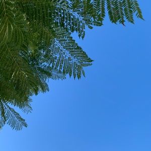 Meet your Posher, Ulee